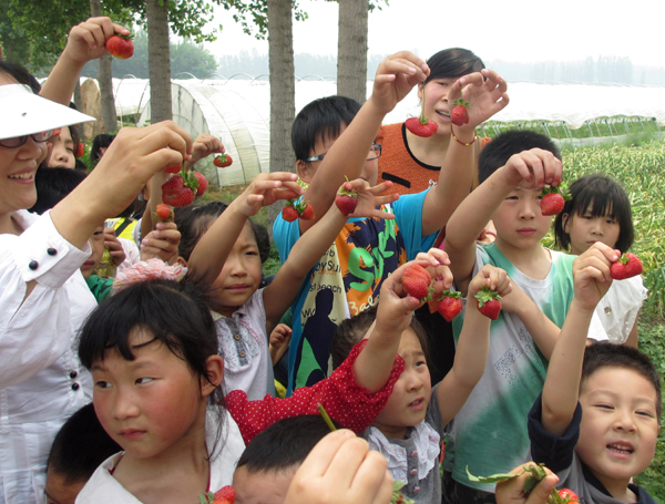 郑州馨悦苑社区举行“红彤彤的草莓献母亲”活动
