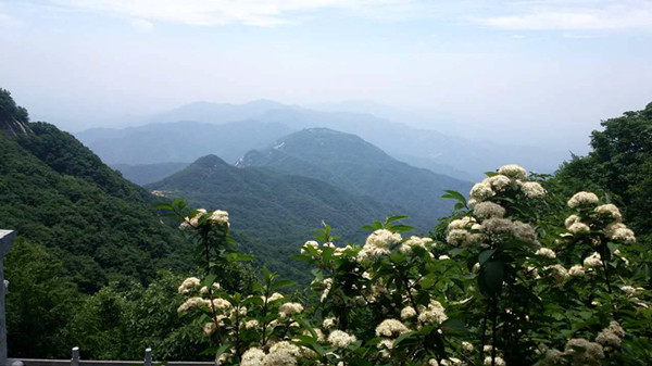 河南南召五朵山景色雄奇 端午节引近万游客涌入观光
