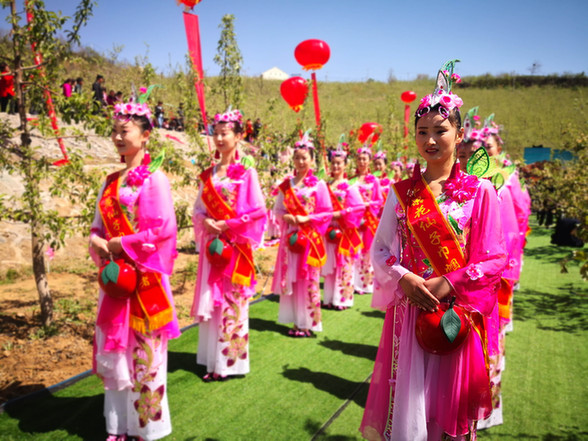 中国首届苹果花节在河南灵宝启幕 3万余名游客徜徉花海