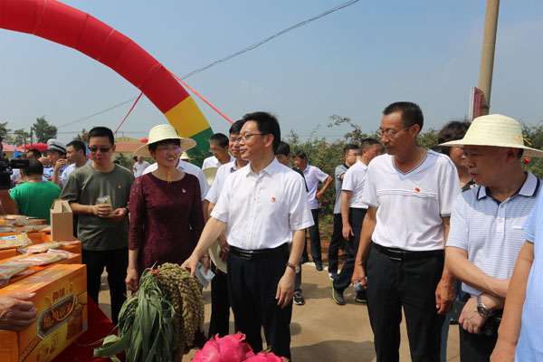 河南渑池举办首届花椒乡村旅游采摘节 打造农业观光旅游品牌