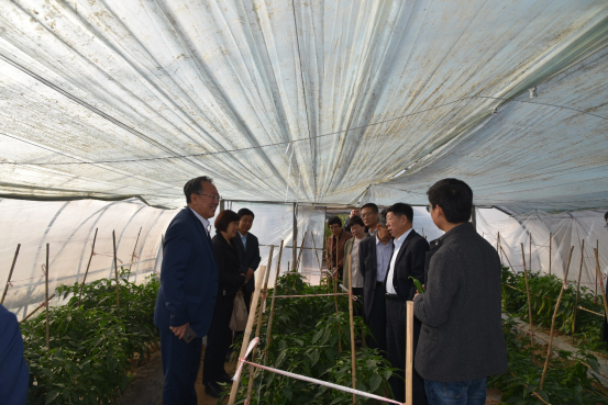 中国（周口）蔬菜产业创新发展大会在扶沟召开